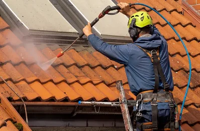 Démoussage et hydrofuge de toiture à Pierrefiche